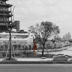 至强成人激情影院
